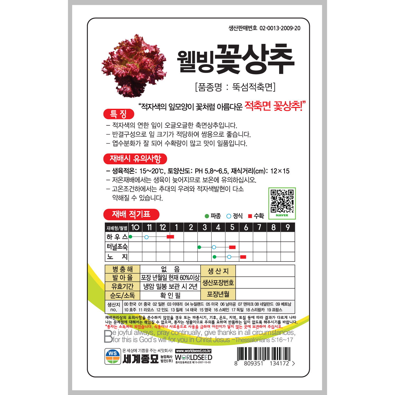 웰빙꽃상추 3000립 / 상추 씨앗 상추씨앗 종자 쌈채소 : 초록스타