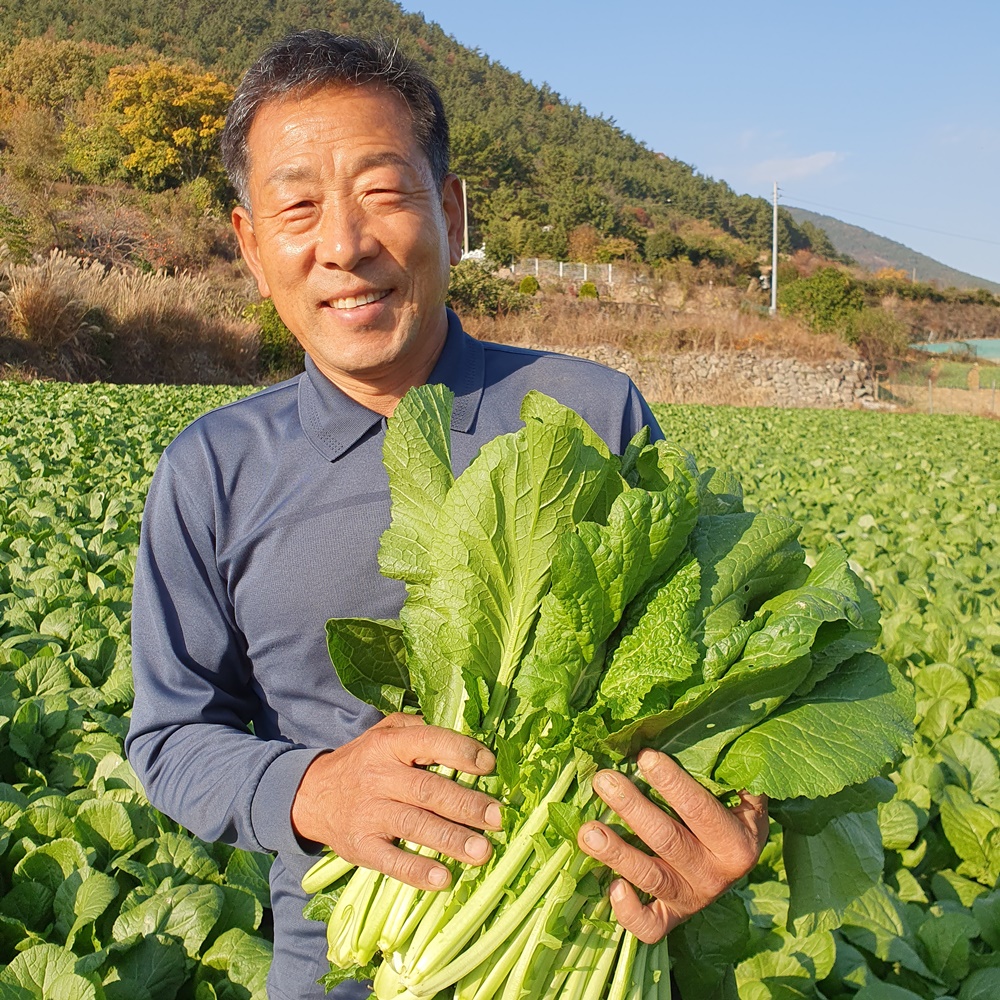 생갓 여수돌산갓 청갓 산지직송 5kg 10kg : 재춘상회