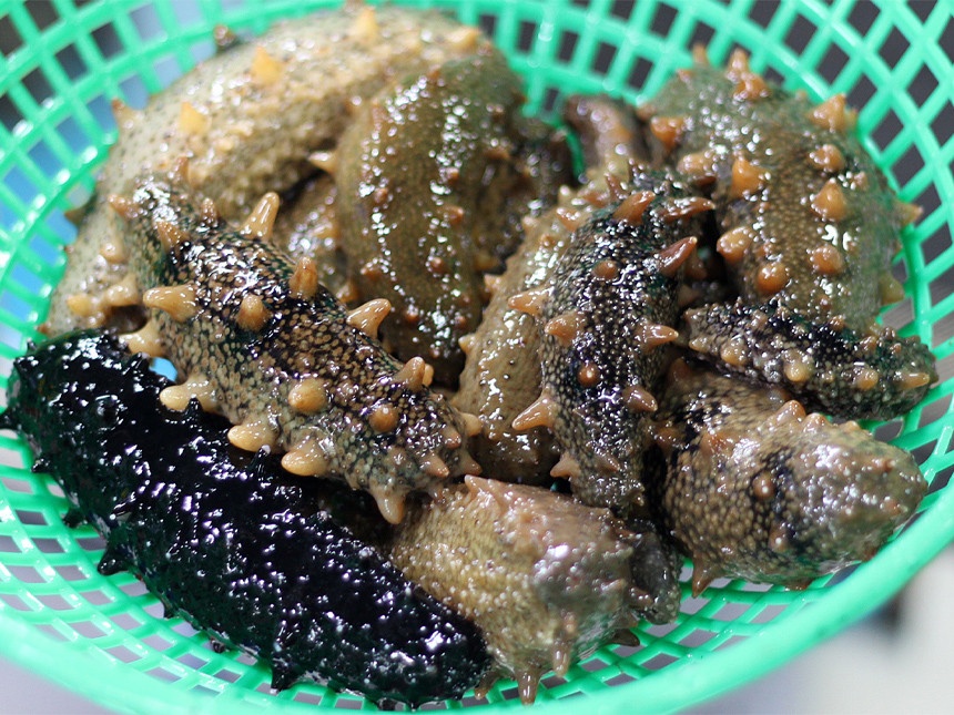 산지직송 자연산 통영 해삼 500g 참해삼 해삼내장 : 통영 83수산