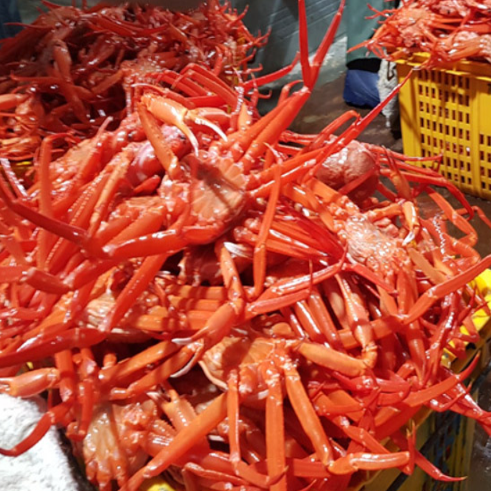 홑게 홍개 홍게홑게 대게택배 홍게시세 찜 자숙 동해 3kg : 니타컴퍼니