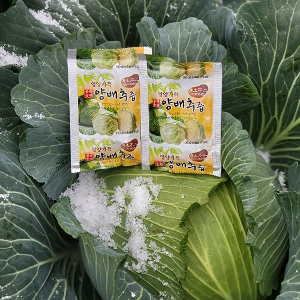 [듬뿍농원] 무안 황토 (산지직송) 양배추즙 100포 100ml 맛있는 양배추 건강즙 엑기스 : 듬뿍농원