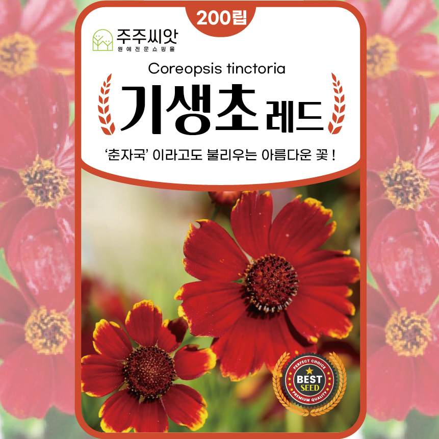 기생초 씨앗 200립 선홍색 레드 애기금계국 춘자국 종자 꽃씨 몰 봄 여름 가을 파종 : 주주씨앗