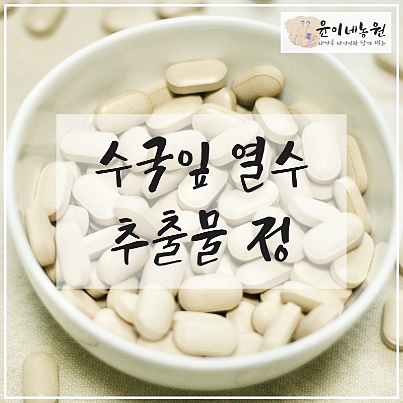 수국잎 열수 추출물 정 : 윤이네농원