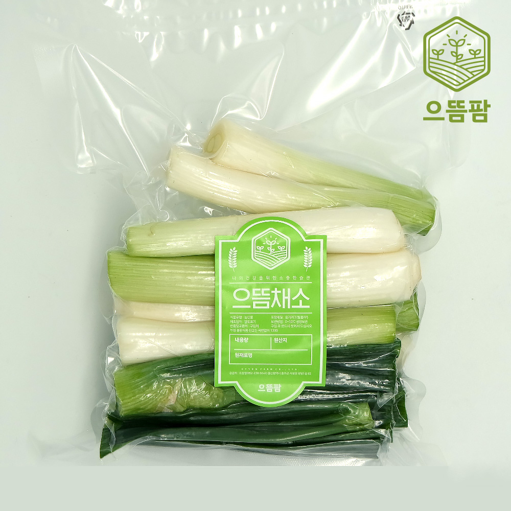 간편 손질 대파 1.2kg : 농업회사 으뜸팜