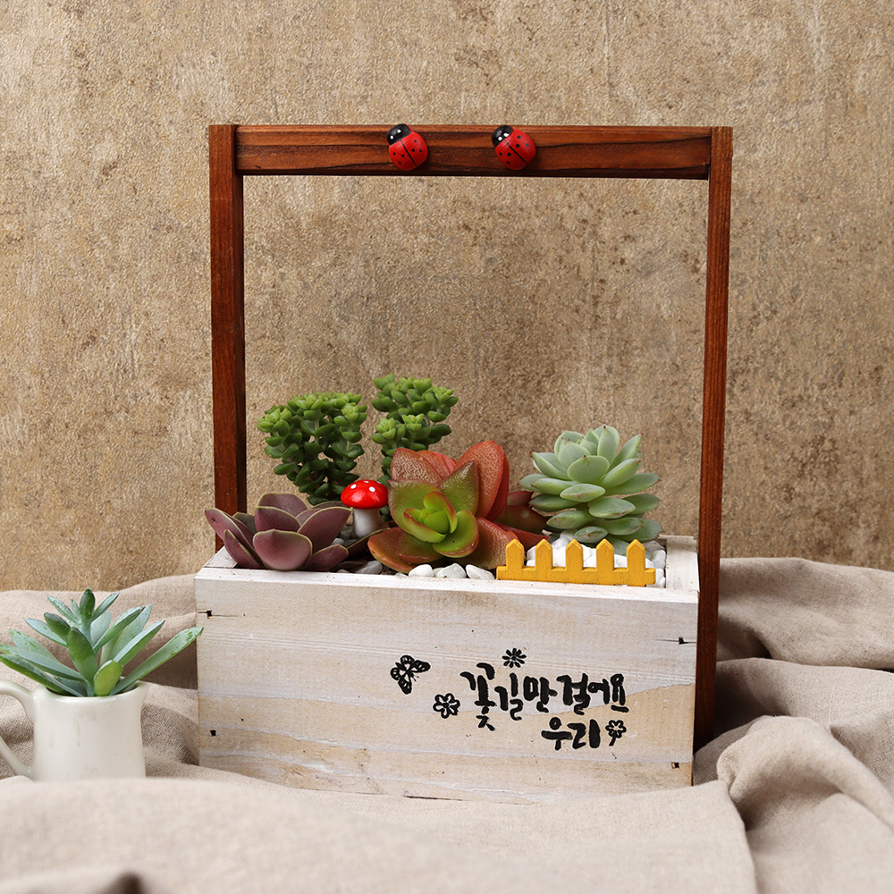 [선돌농원] 키우기 쉬운 DIY 다육화분세트 (랜덤) : 음성장터