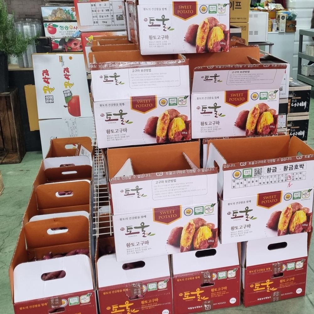 영암 토울황토고구마 10kg 한입 특상 : 삼둥상회