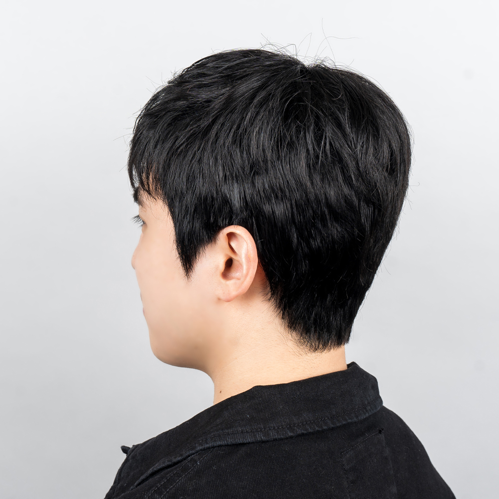 퍼블릭컷 프론트레이스 인모 남자 전체 가발 댄디 남성가발 항암가발 자연스러운 통가발 : 가발닷컴