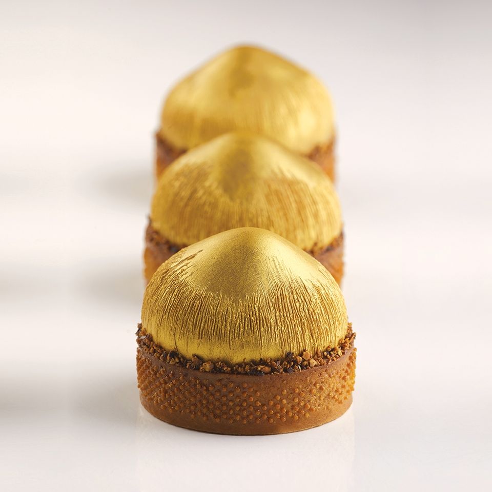 파보니 PAVOFLEX PX4358 NOISETTE 누아젯 : 미페이스트리