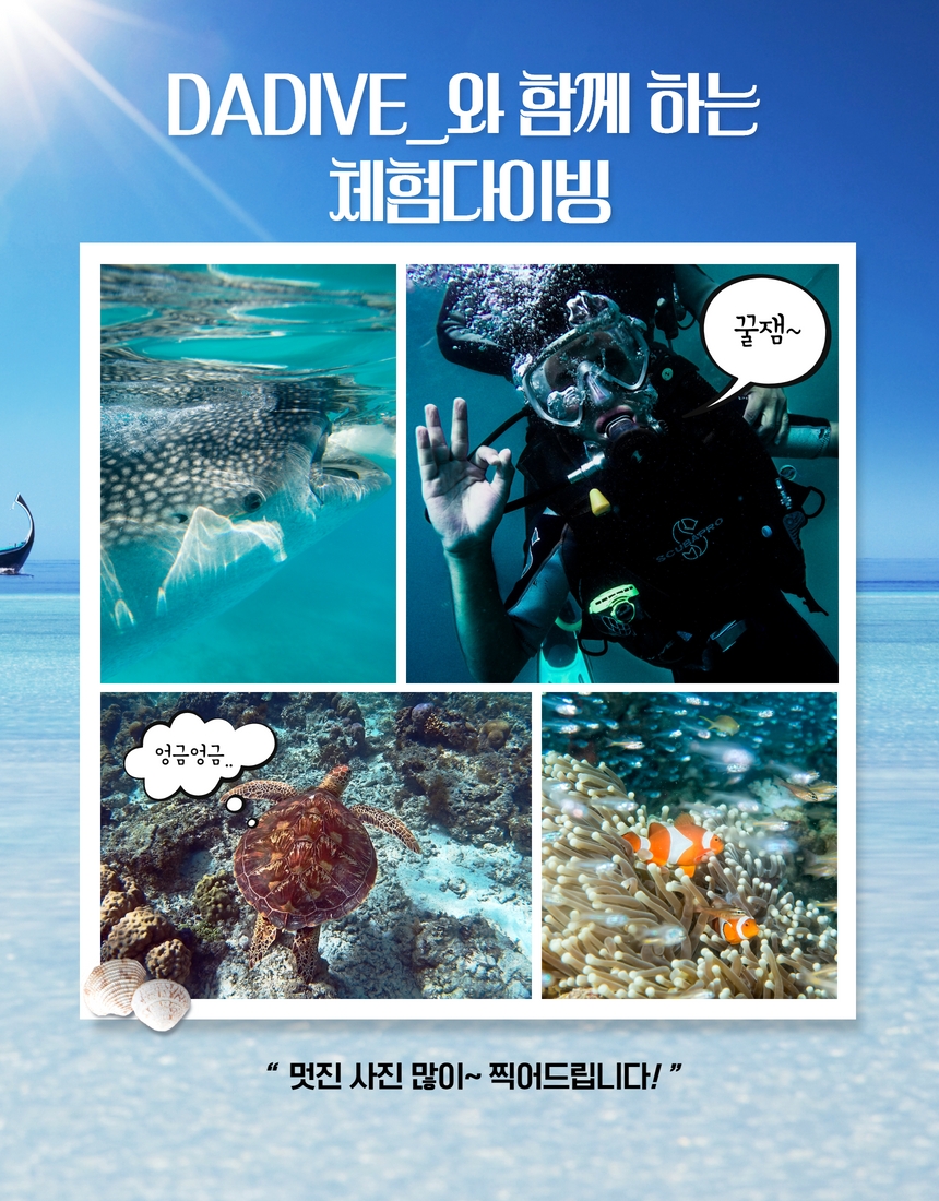 스킨스쿠버 스쿠버다이빙 강습 오픈워터 어드벤스 자격증 서울 잠실, 인천 구월동  PADI : 다른내일 슈퍼간