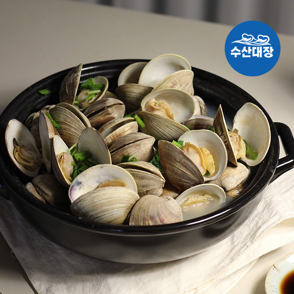 살아있는 활 백생합 조개 1kg 조개탕 조개구이 백합조개 20미내외 생합 : 수산대장