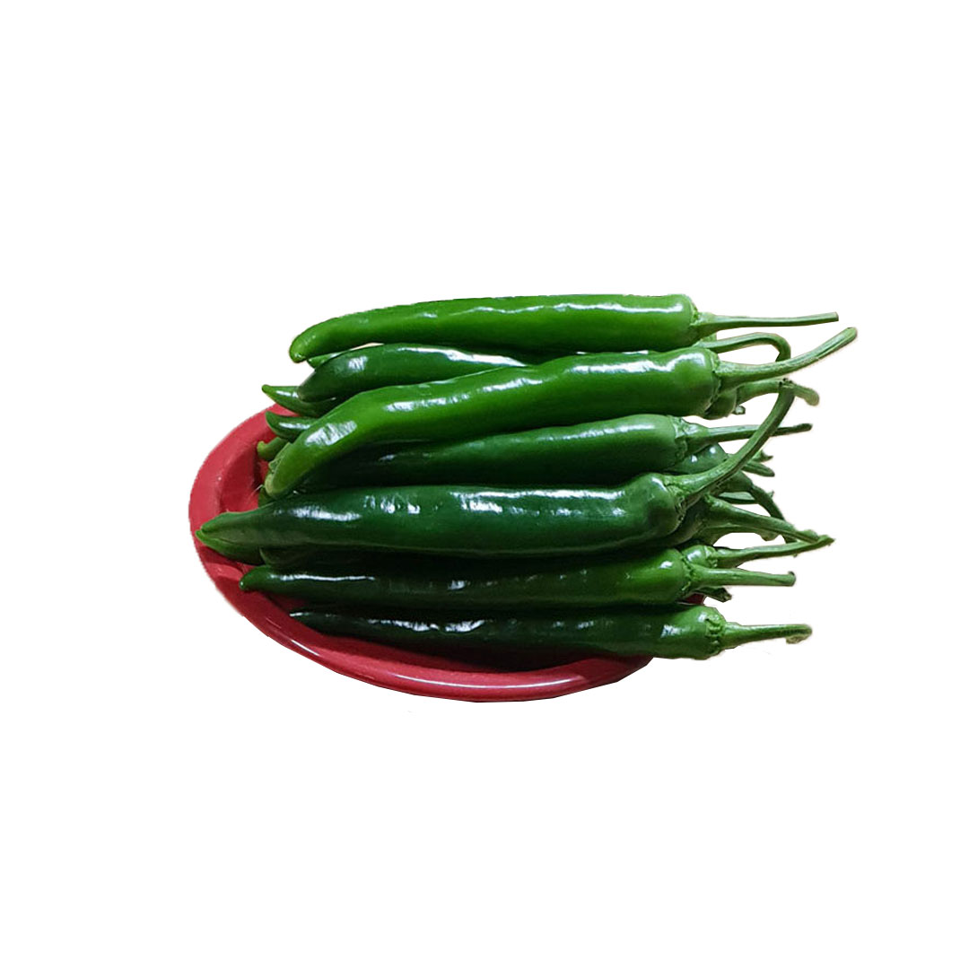 국내산 (특) 오이고추 아삭이고추 1kg,5kg,10kg : 밈밈상회