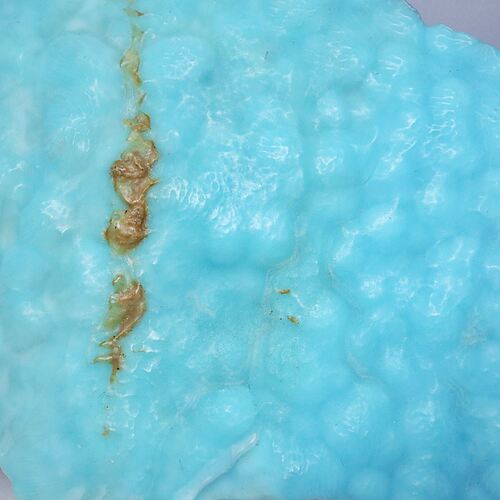 블루 아라고나이트(blue aragonite) : 케미미네랄