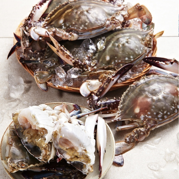 당일바리 서해안 제철 생물꽃게 2kg / 1kg : 공영쇼핑