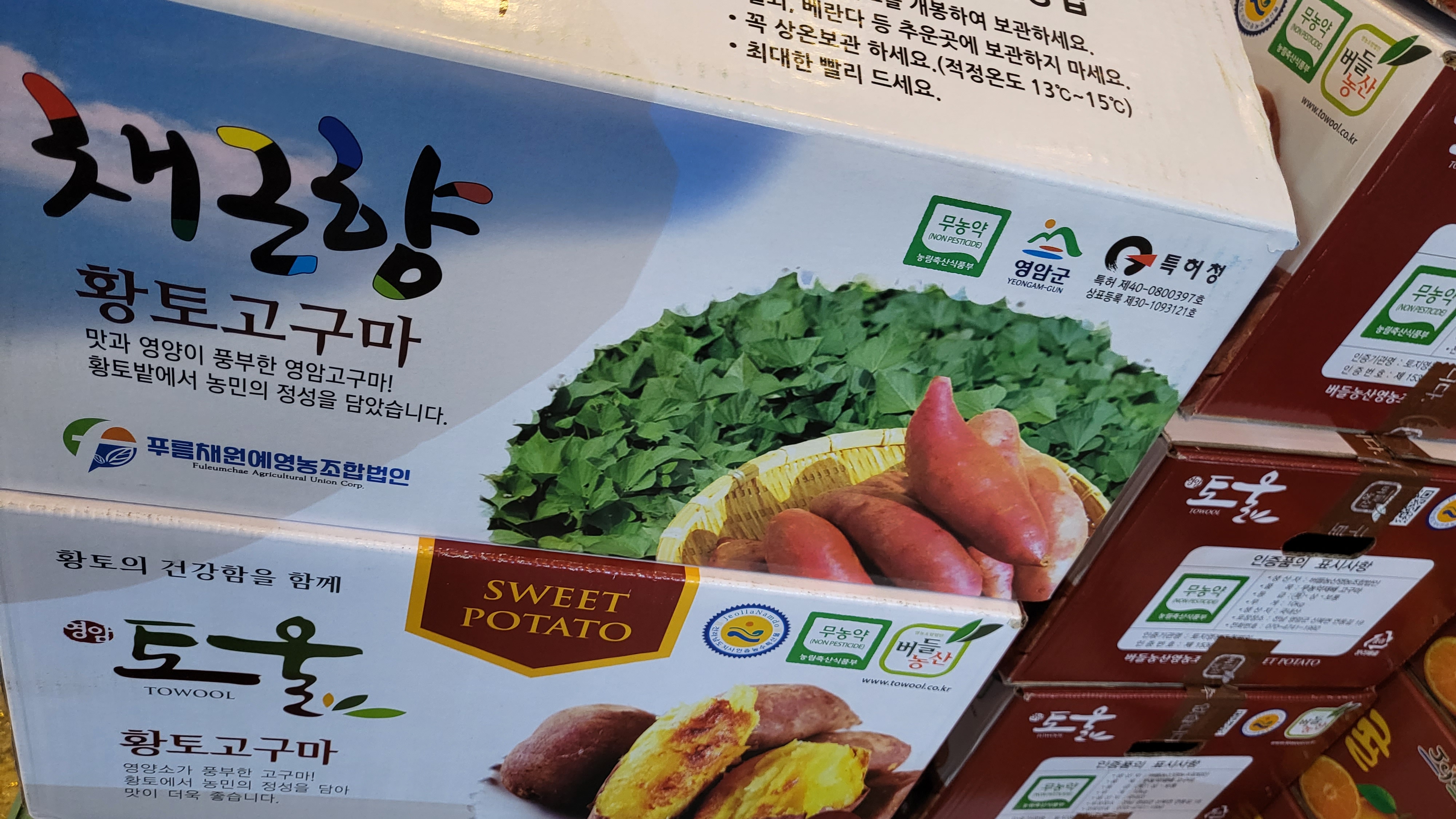 영암 토울 채근향 황금 명품 고구마 : 오복청과