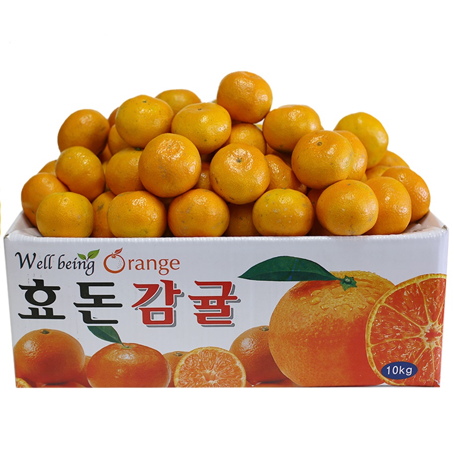 제주 서귀포 노지 고당도 타이벡 효돈감귤 : 제주효돈파머스