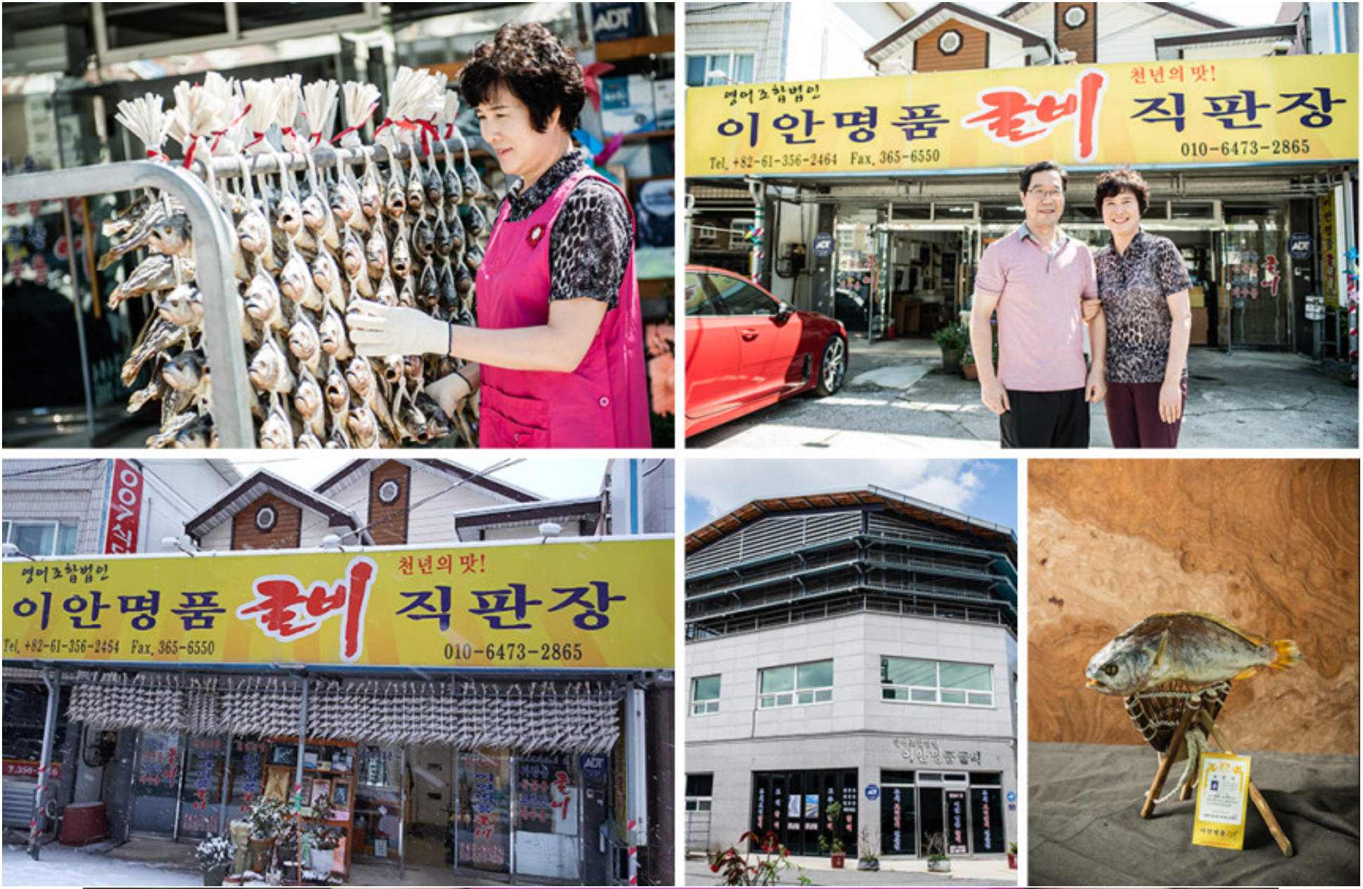 영광 법성포 찐보리굴비 1미 32cm내외 가정용 명절 선물세트 : 이안명품굴비