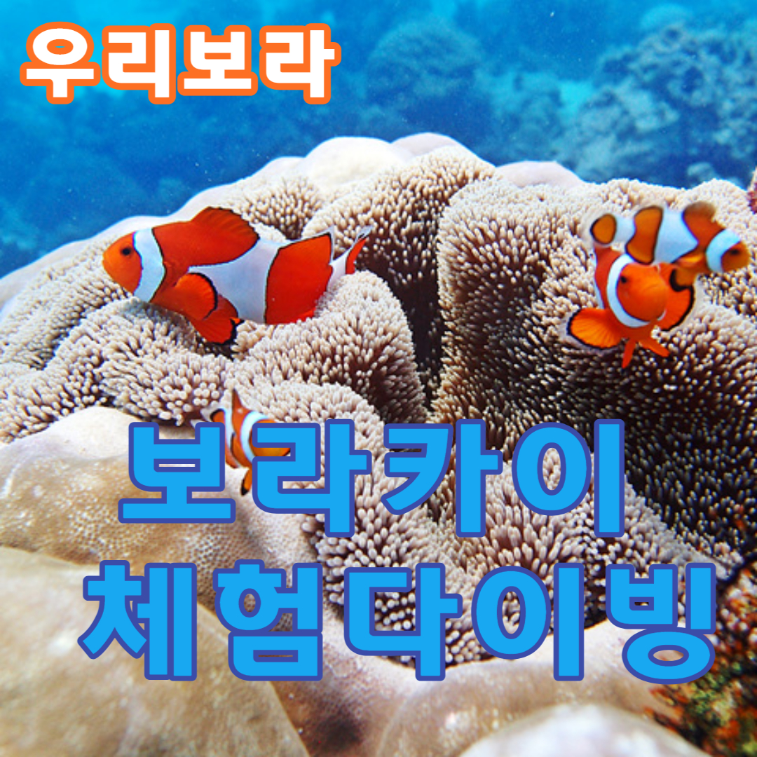 보라카이다이빙 체험다이빙 스킨스쿠버 해양스포츠 액티비티 보라카이투어 : 우리보라