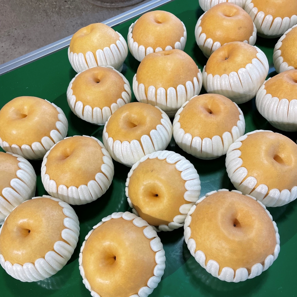 못난이배 흠집배 5kg 7.5kg 나주배15kg 한박스 : 에브잇띵