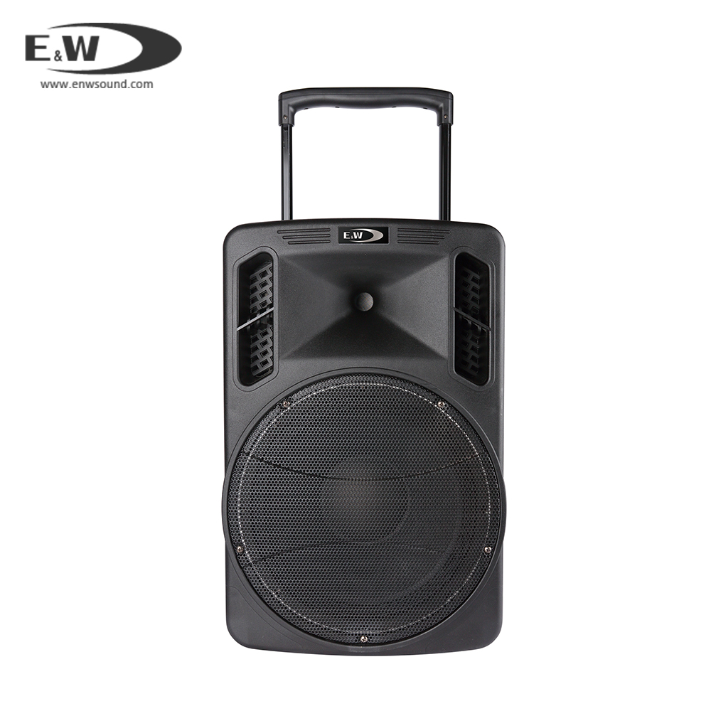 이더블유디 E&W PAS-1200 이동식 충전식 앰프 : 가스펠 사운드