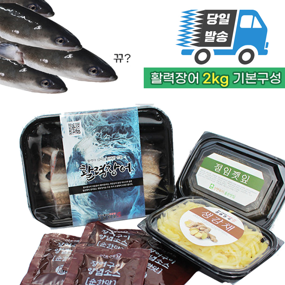 활력장어 국산 풍천 민물장어 2kg+생강채+절임깻잎+장어소스 기력회복 장어구이 : 장어천국 풍천민물장어직판장