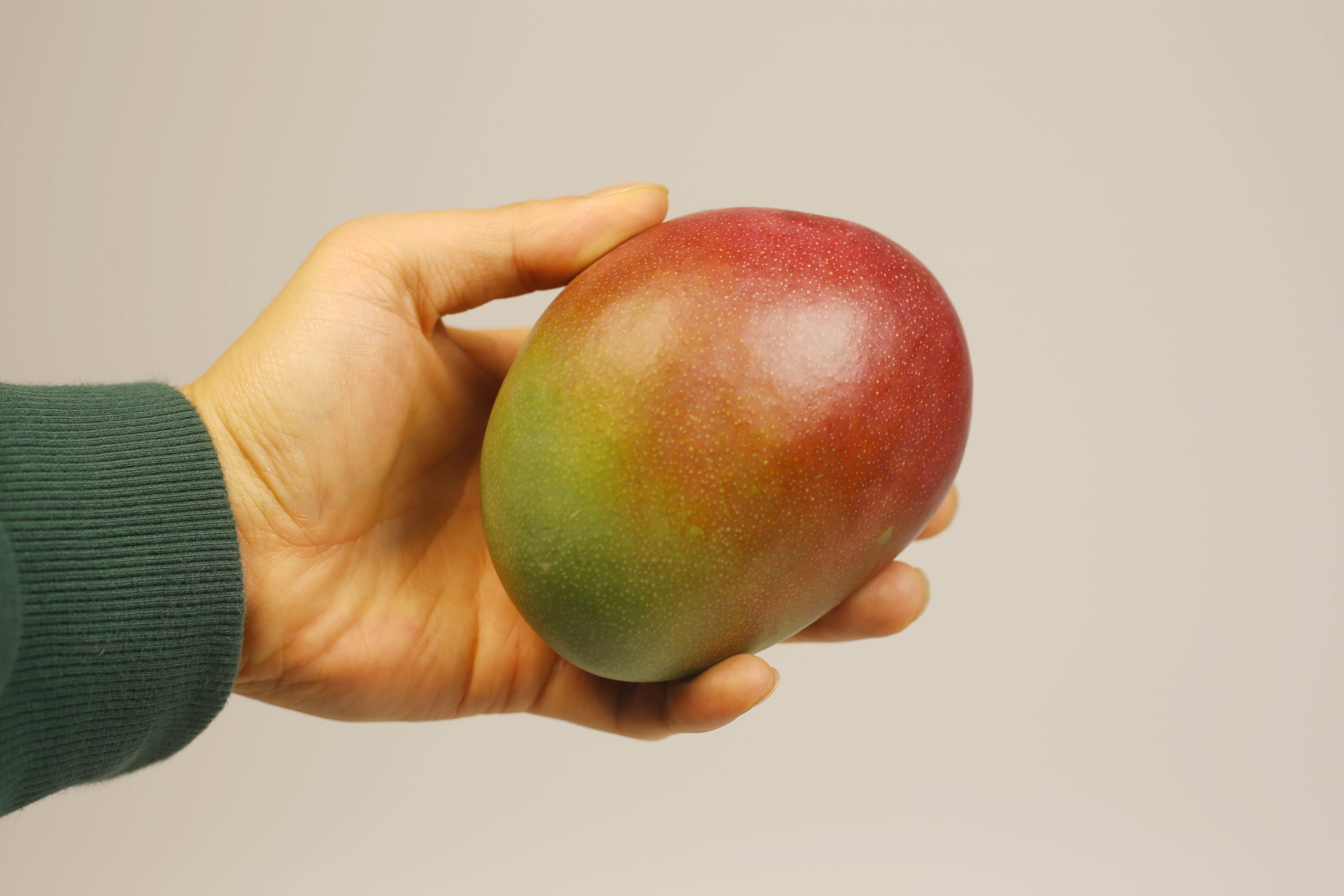태국 항공 골드망고 애플망고 무지개망고 2kg, 4kg : 주식회사 산해마켓