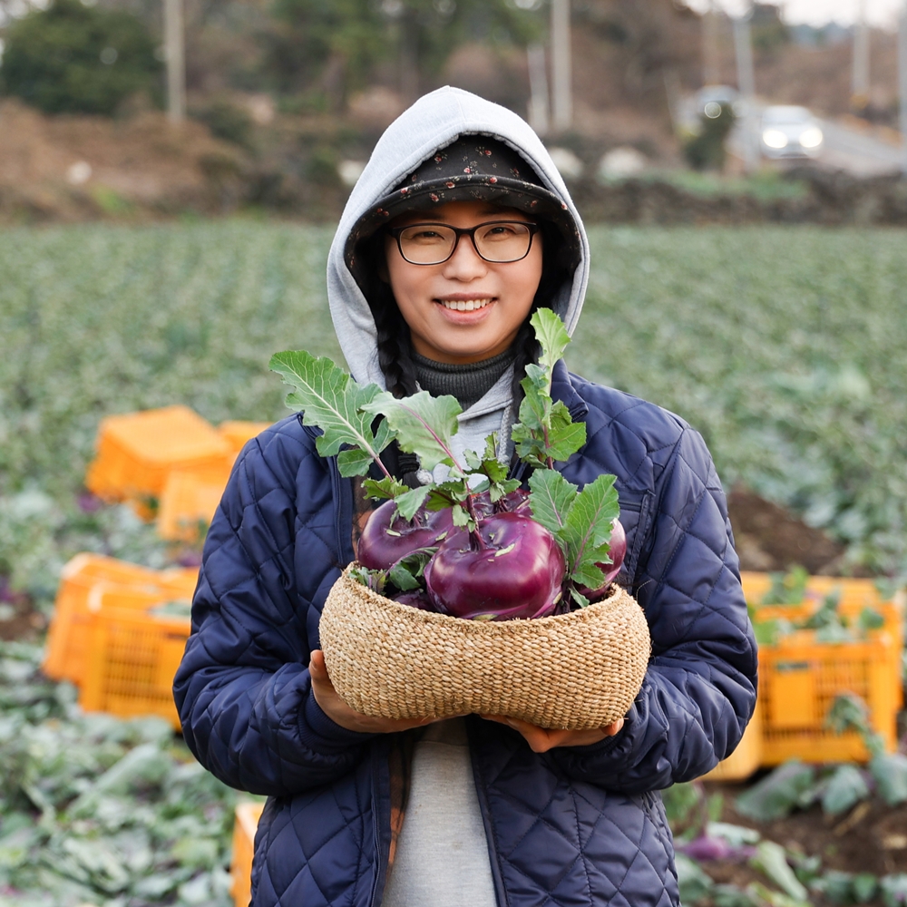 [농부 제주규리] 제주 서쪽 농장 직송 적콜라비 5kg 10kg : 농부 제주규리
