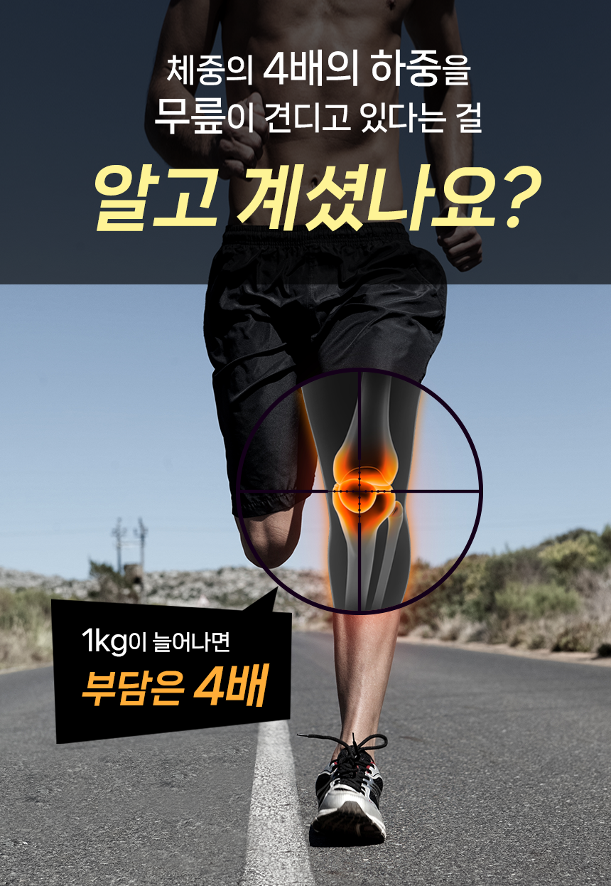 에스제이리 트레킹 걷기 슬개골 무릎보호대 : 샤이링
