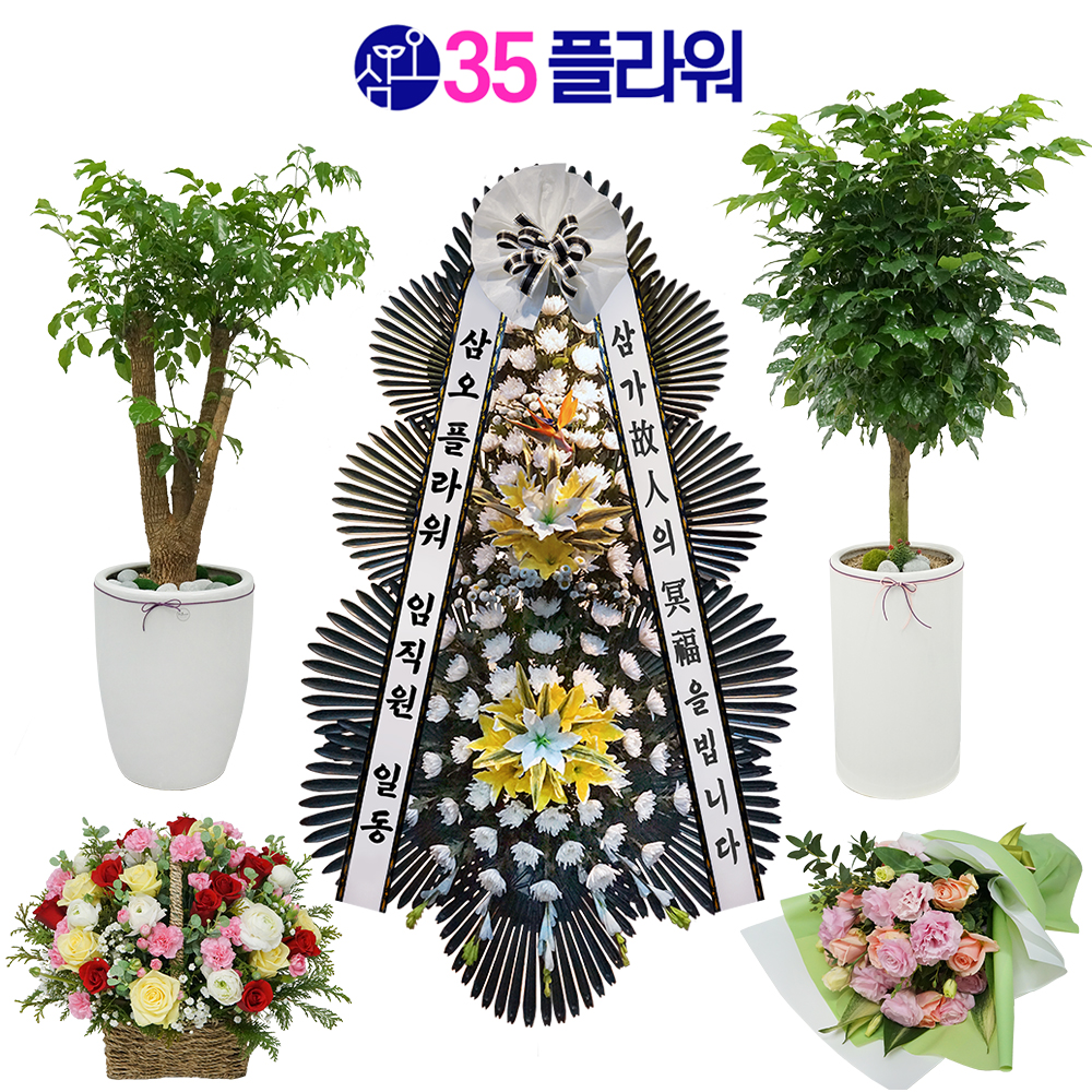 서울꽃배달 인천화환 개업 화분배달 : 35플라워