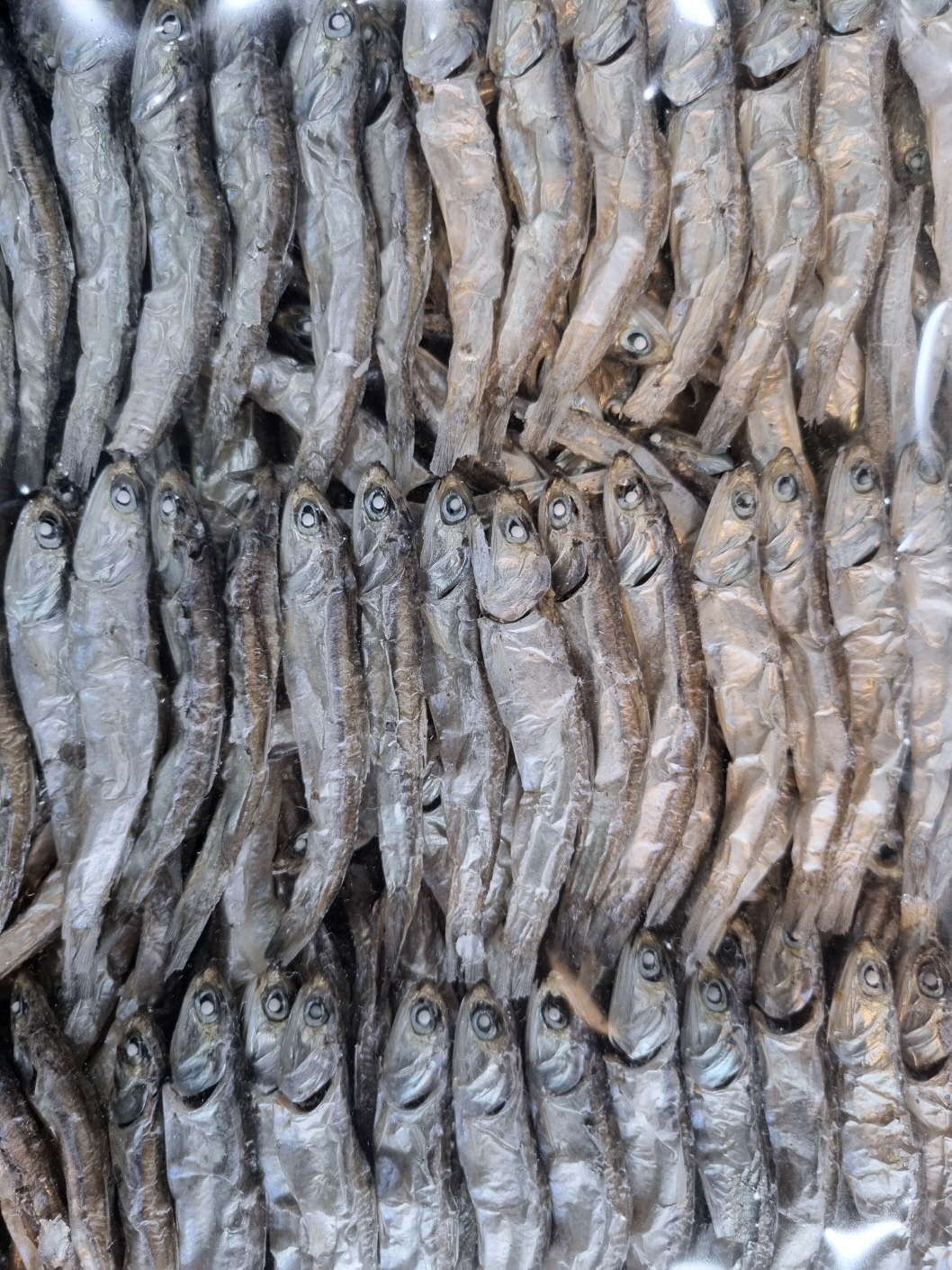 남해 죽방 멸치  300g/500g : 남해건어물점빵