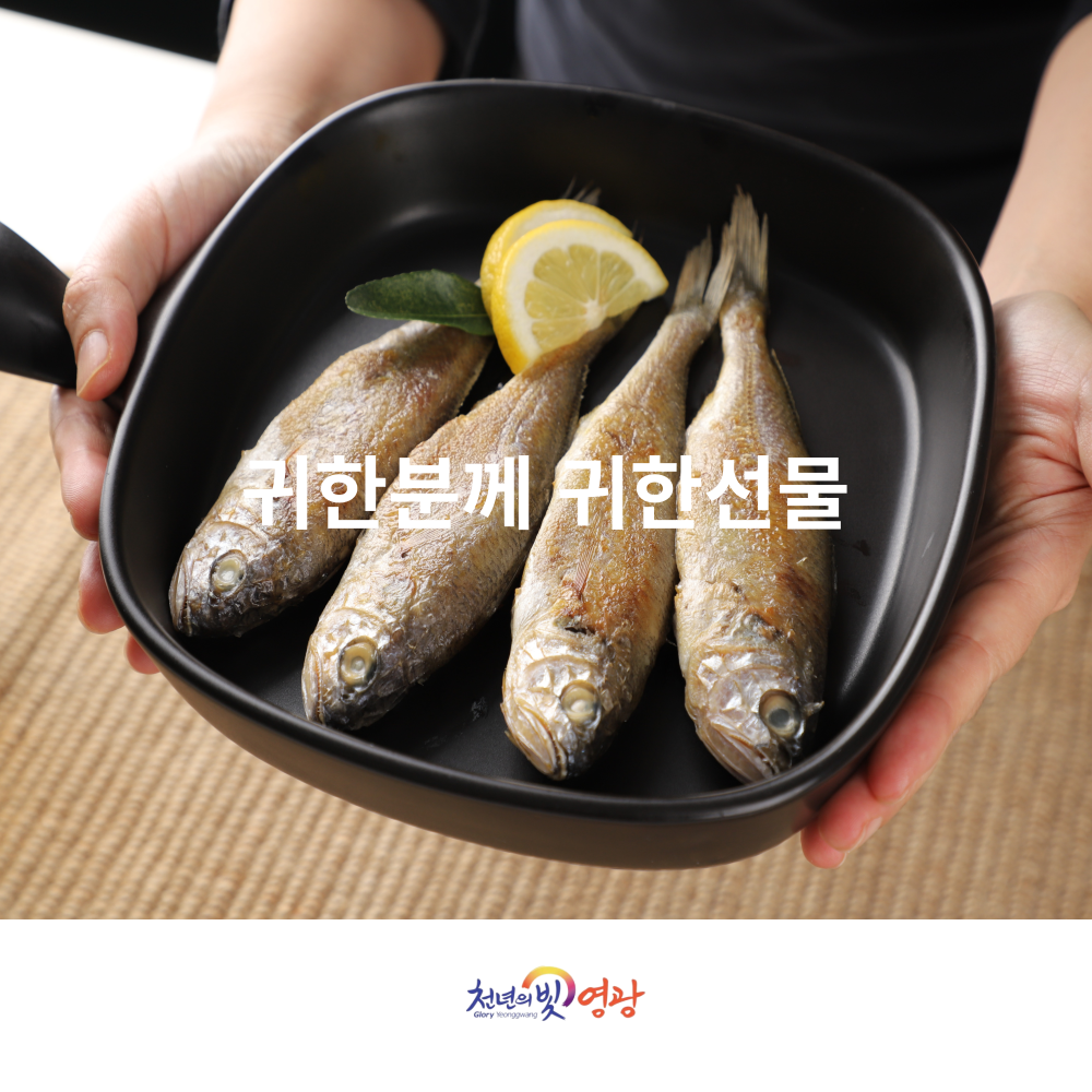 법성포영광 참굴비 영광굴비세트 20미1.6kg이상 산지직송 : 주영광굴비수산