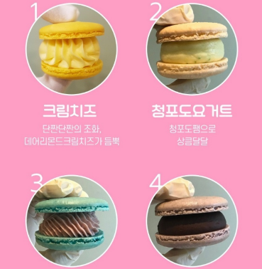 마카롱맛집 마카롱 수제 타르트 12개 : 써니미