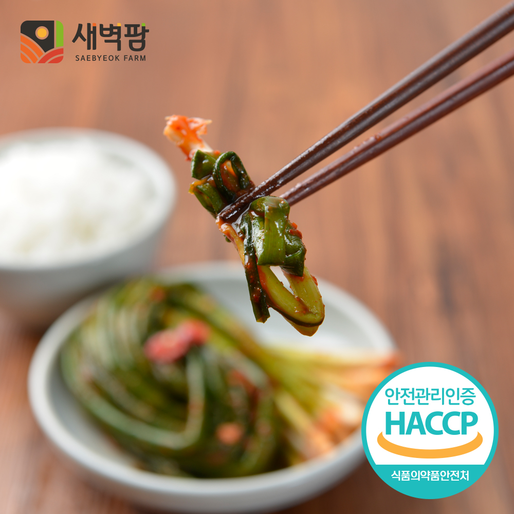 새벽팜 파김치 1kg 국산 전라도김치 참매실 : 새벽팜