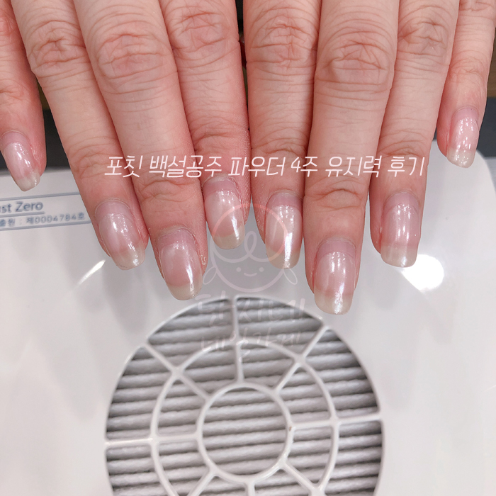 포칫 백설공주 네일파우더 웨딩네일 : 단지네 네일가게
