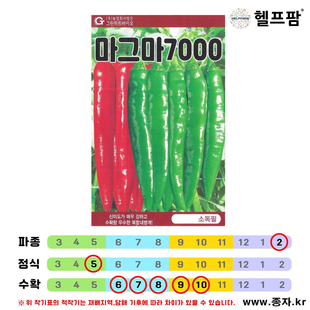 헬프팜 마그마7000 1000립 고추씨 종자 그린하트바이오 : 헬프팜-help.farm
