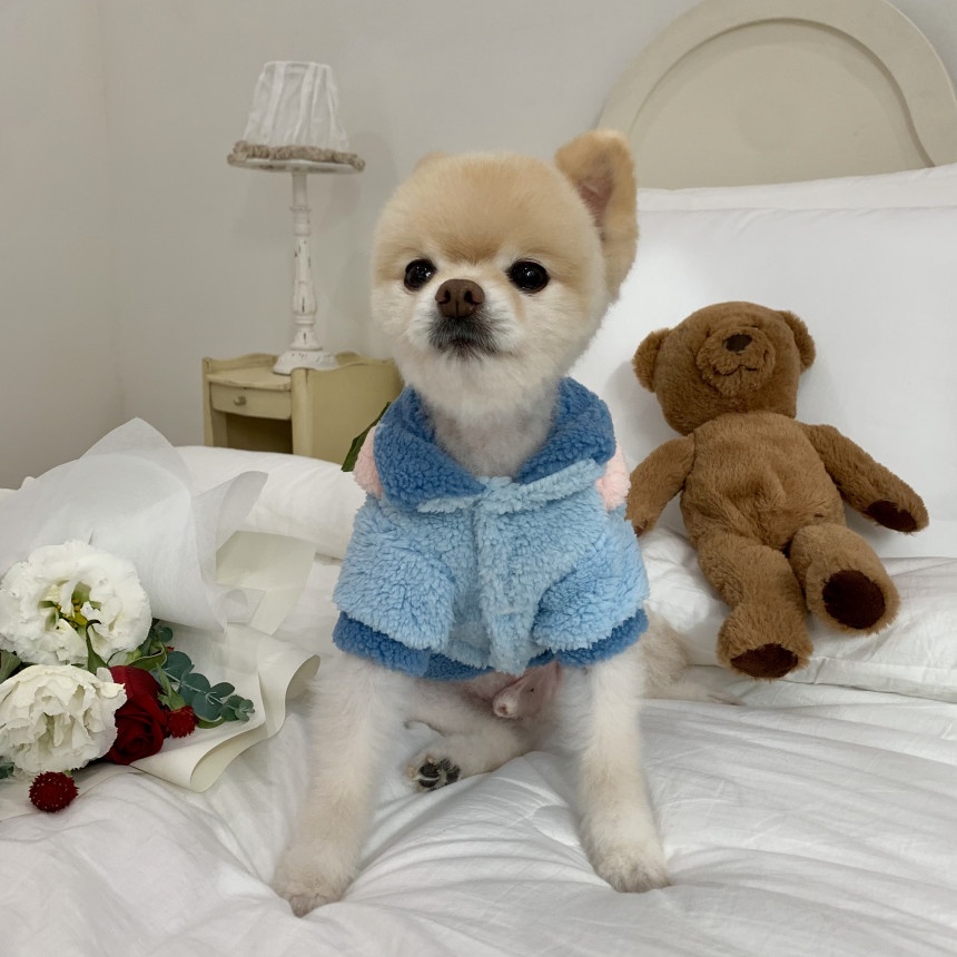 강아지 옷 토끼 곰돌이 뽀글이 가방 후리스 자켓 점퍼 S-XL : 아뭉아뭉