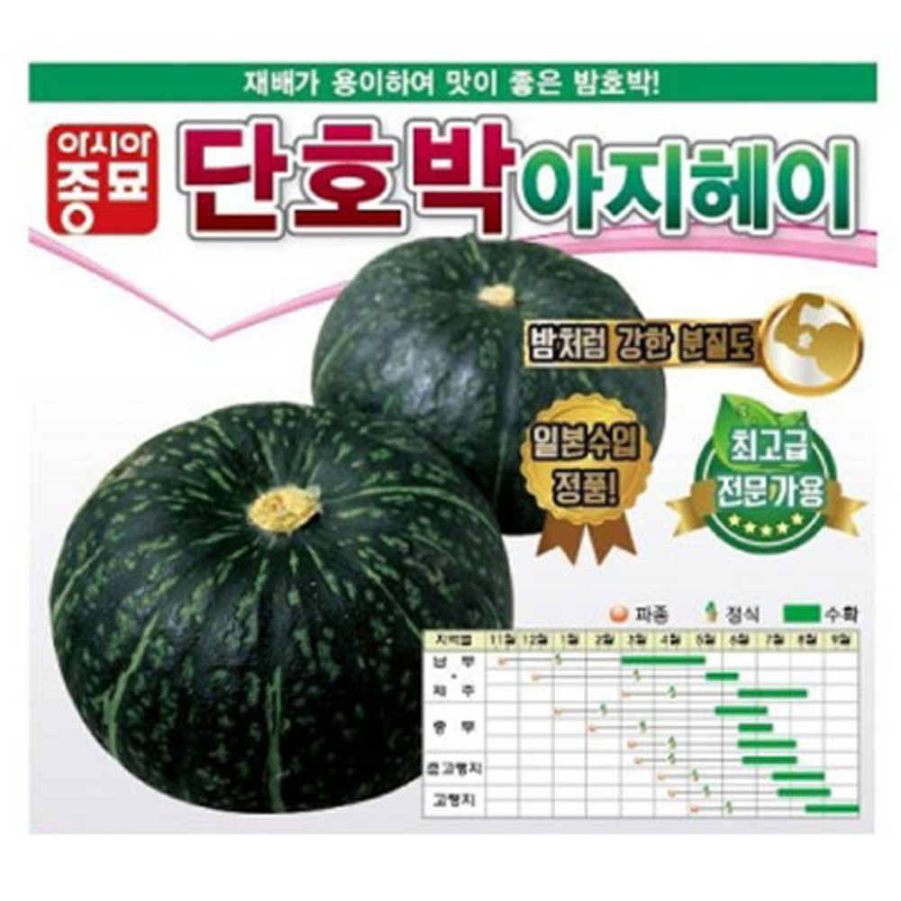 아지헤이 단호박 2000립 / 단호박씨 씨앗 종자 아시아종묘 영미의정원 : 영미의정원