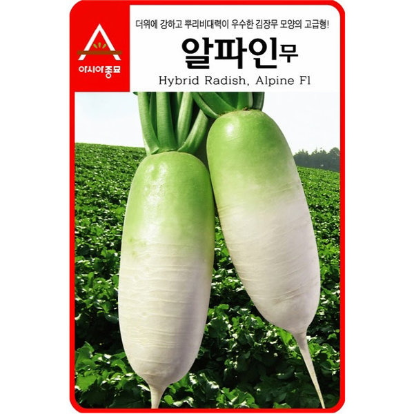 A-알파인무 6g / 무씨 무씨앗 무종자 : 영미의정원