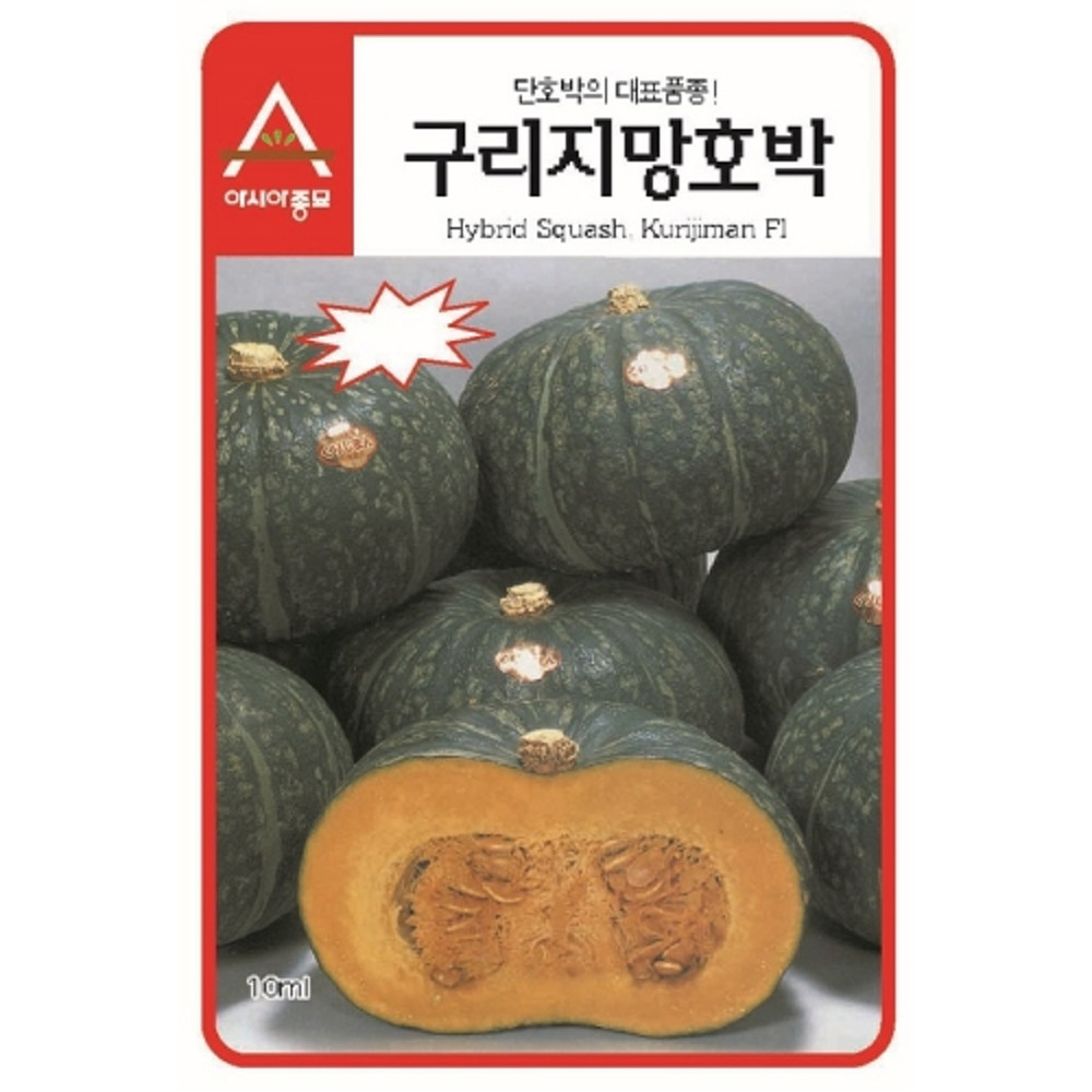 A-구리지망호박 2000립 / 단호박씨 단호박씨앗 단호박종자 : 영미의정원