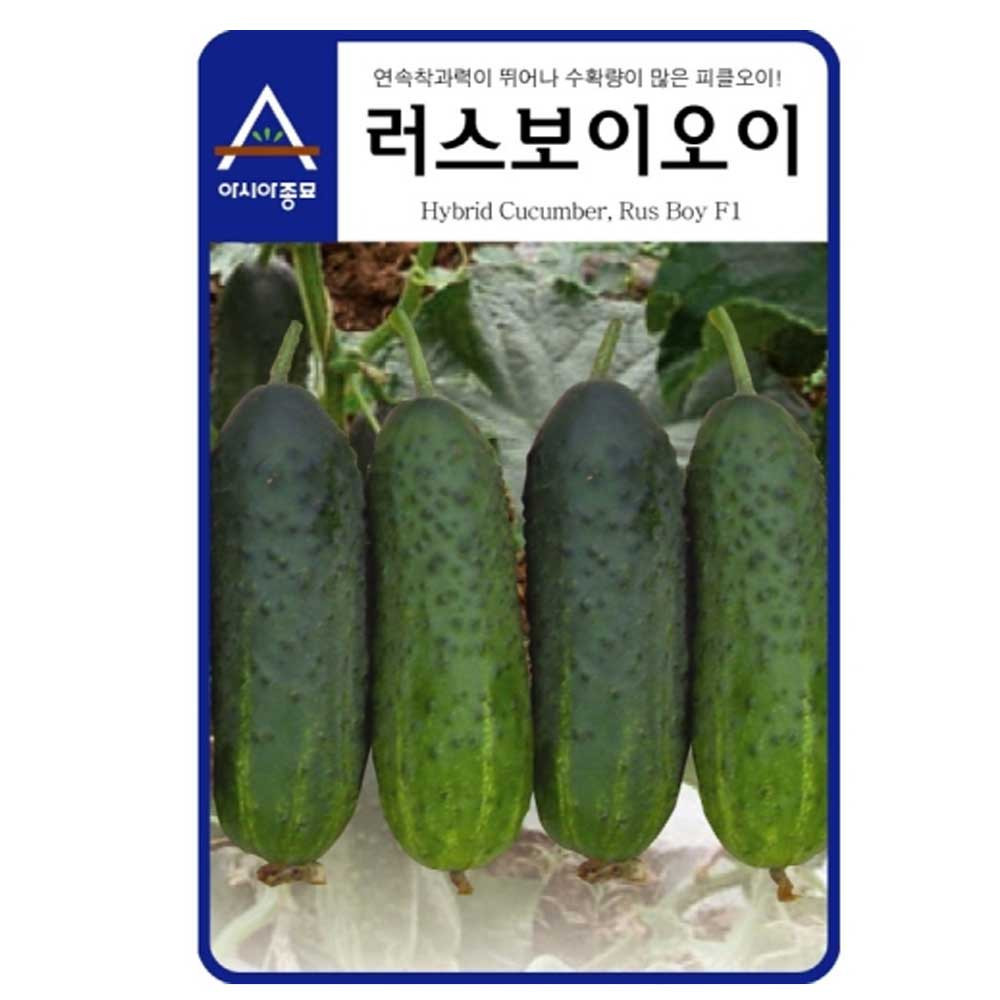 A-러스보이오이 500립 / 오이씨 오이씨앗 오이종자 : 영미의정원