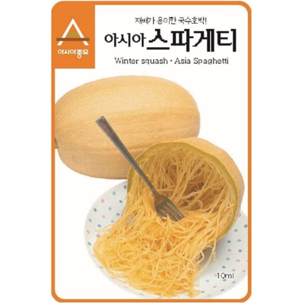 A-아시아스파게티-국수호박 25립 / 호박씨 호박씨앗 호박종자 : 영미의정원