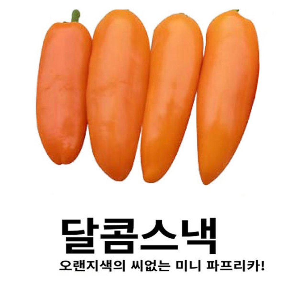 A-달콤스낵 10립 / 파프리카씨 파프리카씨앗 파프리카종자 : 영미의정원