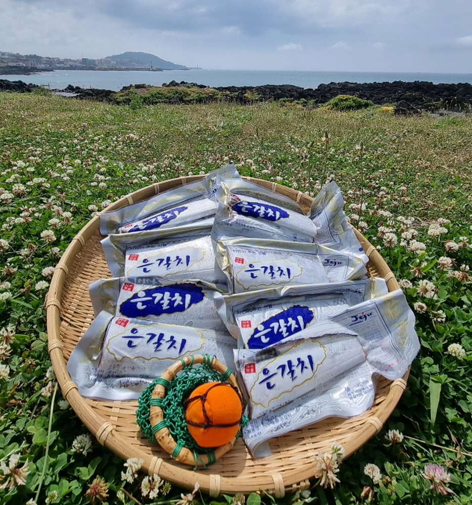 제주 은갈치 제주도 갈치 특대 선물 : 주식회사 바른제주