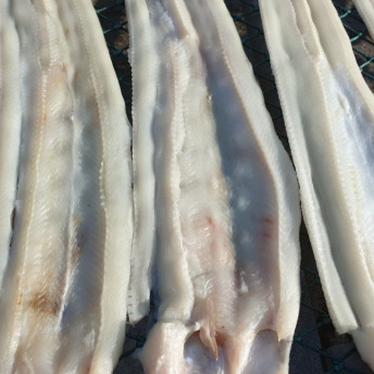 말린장어 국내산 자연산 왕 특대 바다장어 마리당 70cm이상 : 완도둥이맘