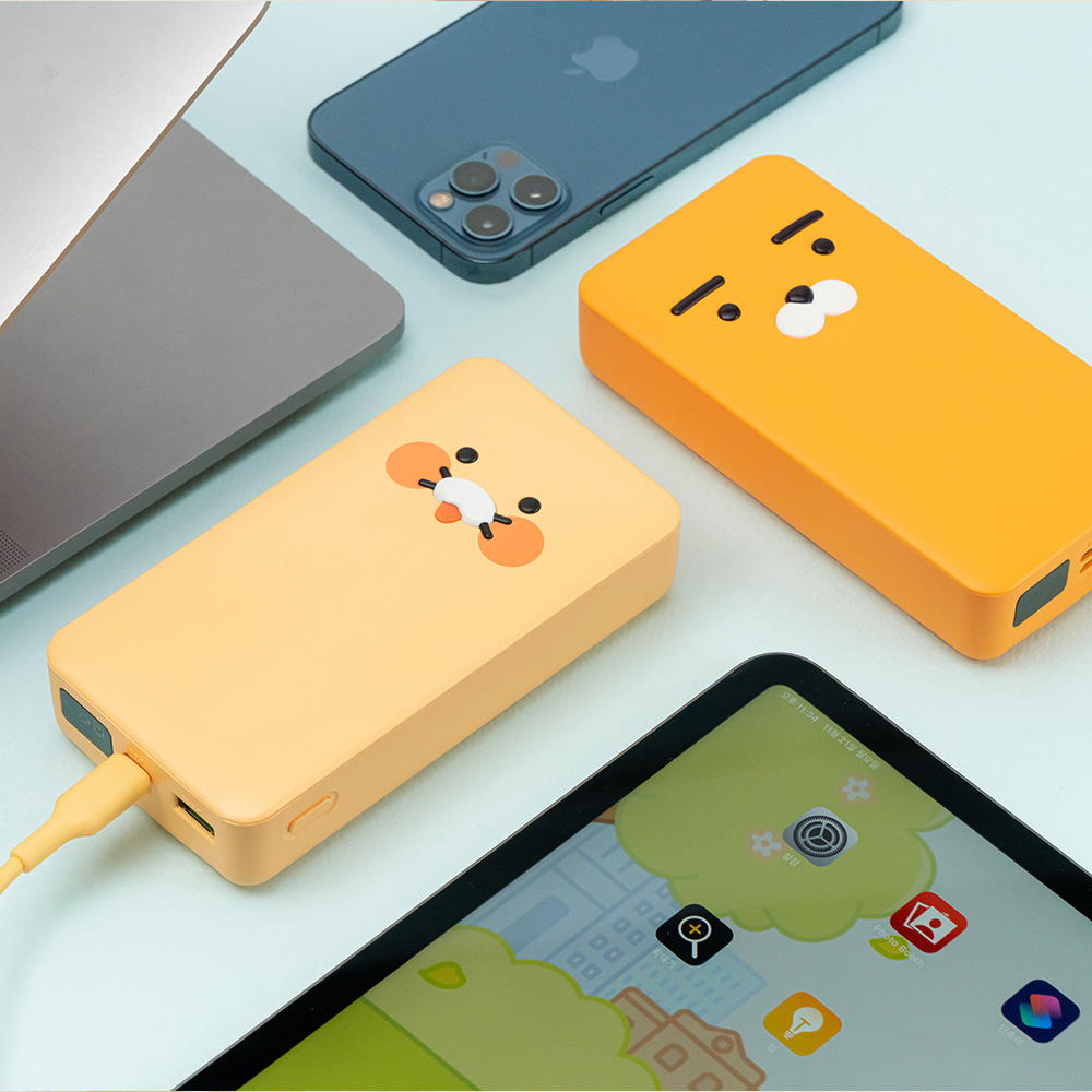 카카오프렌즈 사각 PD 보조배터리 20000mAh (라이언/380g경량) : 주식회사 리튬포어스