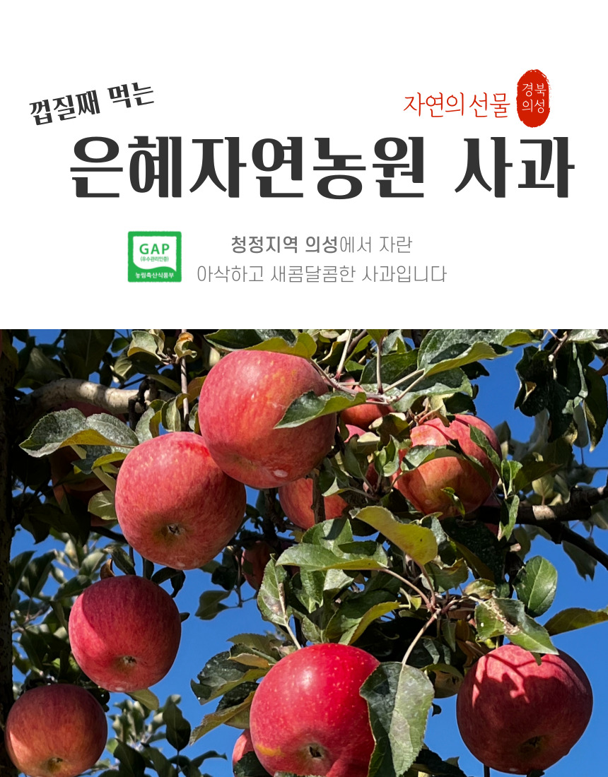 경북 의성 은혜자연농원 껍질째 먹는 사과 5KG 친자연 초생재배 껍질째 먹는 사과 GAP : 강군스마켓