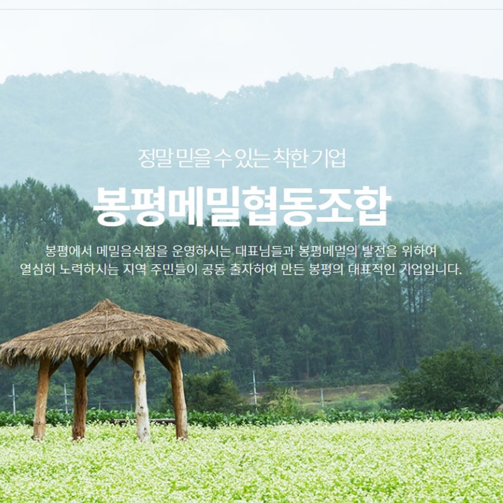 봉평 메밀 국수 냉모밀 메밀면 모밀국수 소바 막국수 850g 8인분 건면 : 이모가간다
