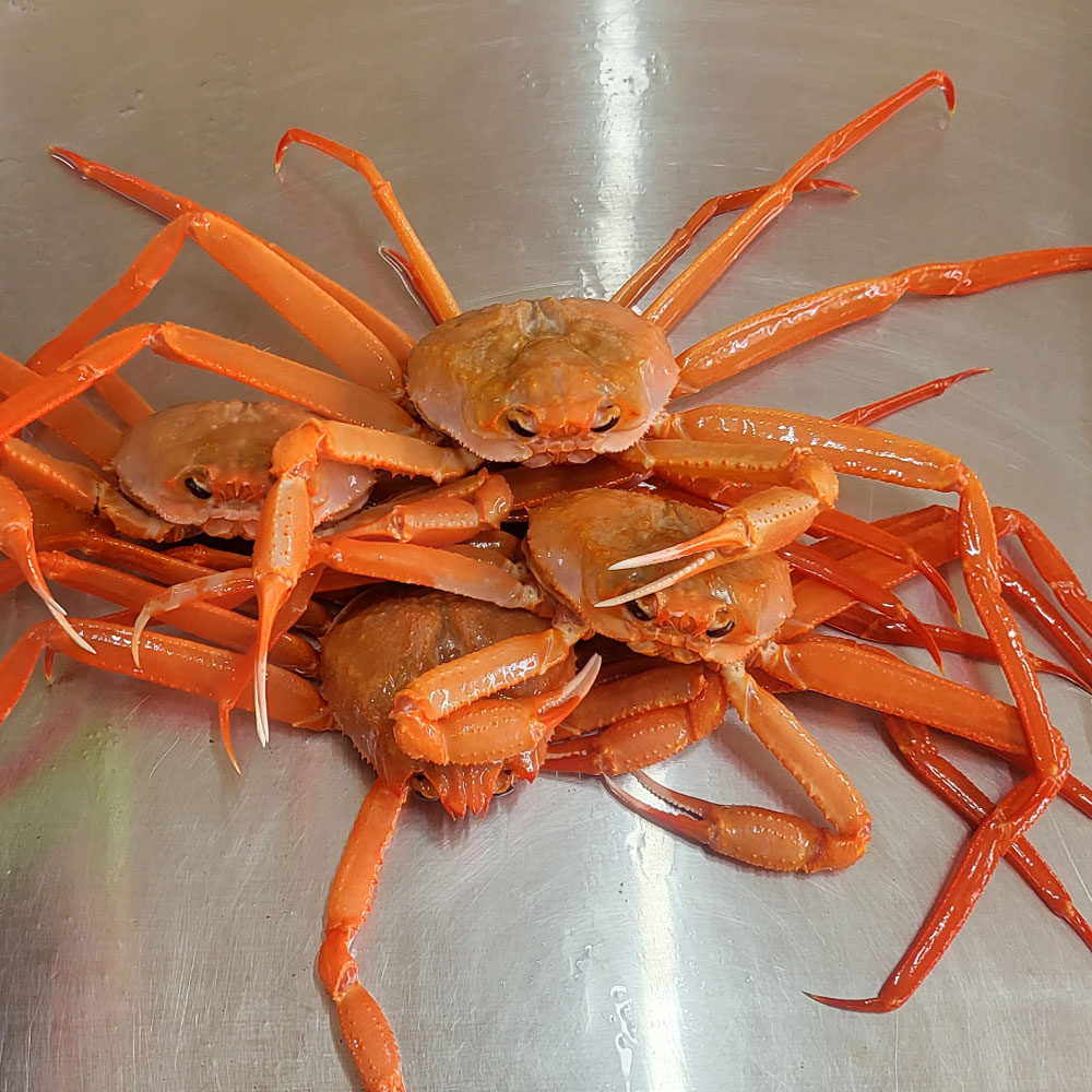 제철 자숙 후포리 홍게 1kg+1kg(총 2kg) : 대한푸드상회