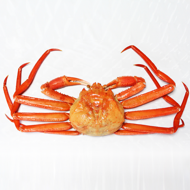 선주직송 구룡포 후포 속초 자숙 박달 홍게 무료찜 2kg 수율짱 : 한손수산