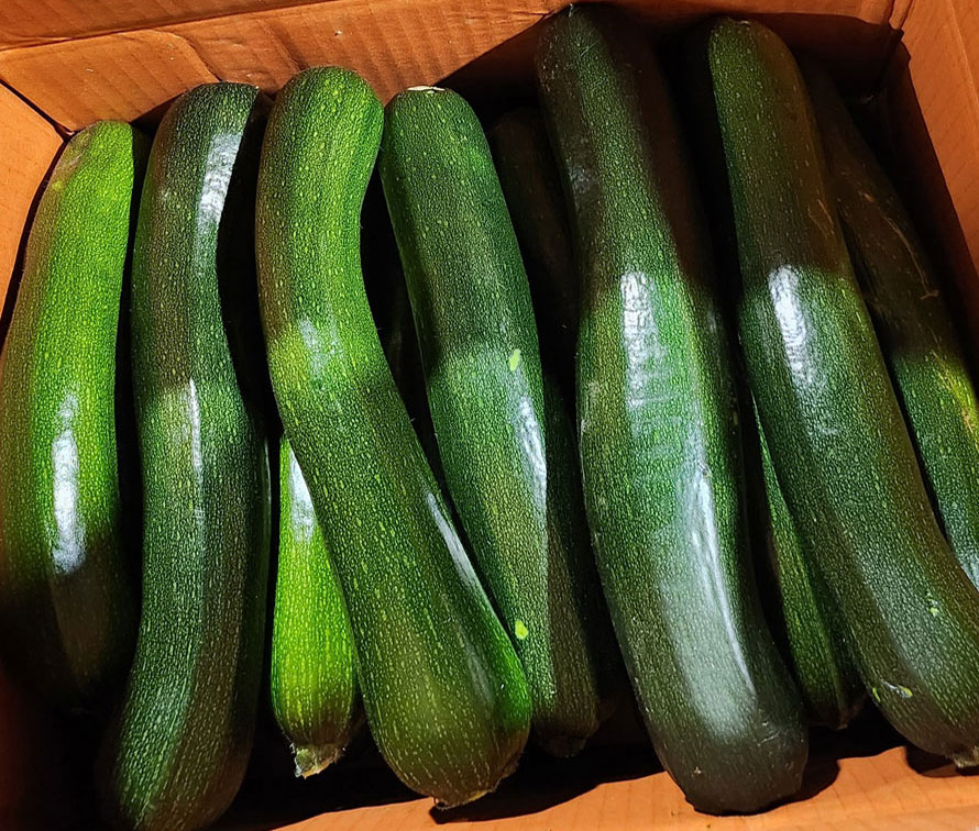 국내산 싱싱한 쥬키니 못난이 5kg 10kg  음성판정 승인품종 : 밈밈상회