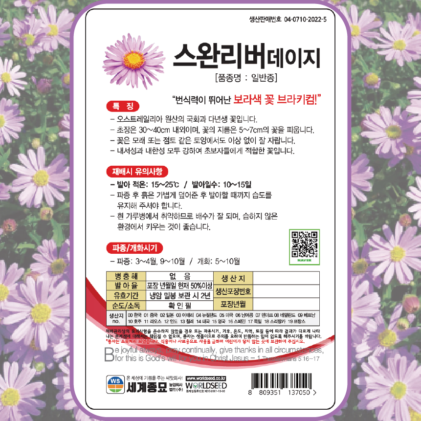 브라키컴 씨앗 300립 사계 애기 코스모스씨앗 꽃씨 종자 다년생 봄 여름 가을 파종 : 주주씨앗